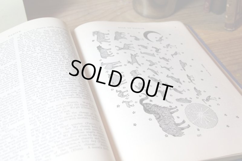 画像3: ★STEP2★洋古書　OAHSPE A NEW BIBLE アメリカ (3)