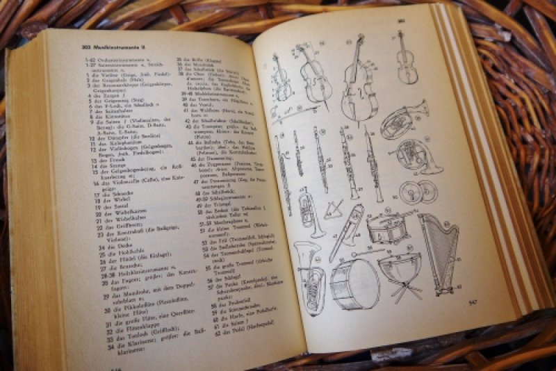 画像3: ★STEP2★洋古書　Der gro?e DUDEN　ドイツの辞書 (3)