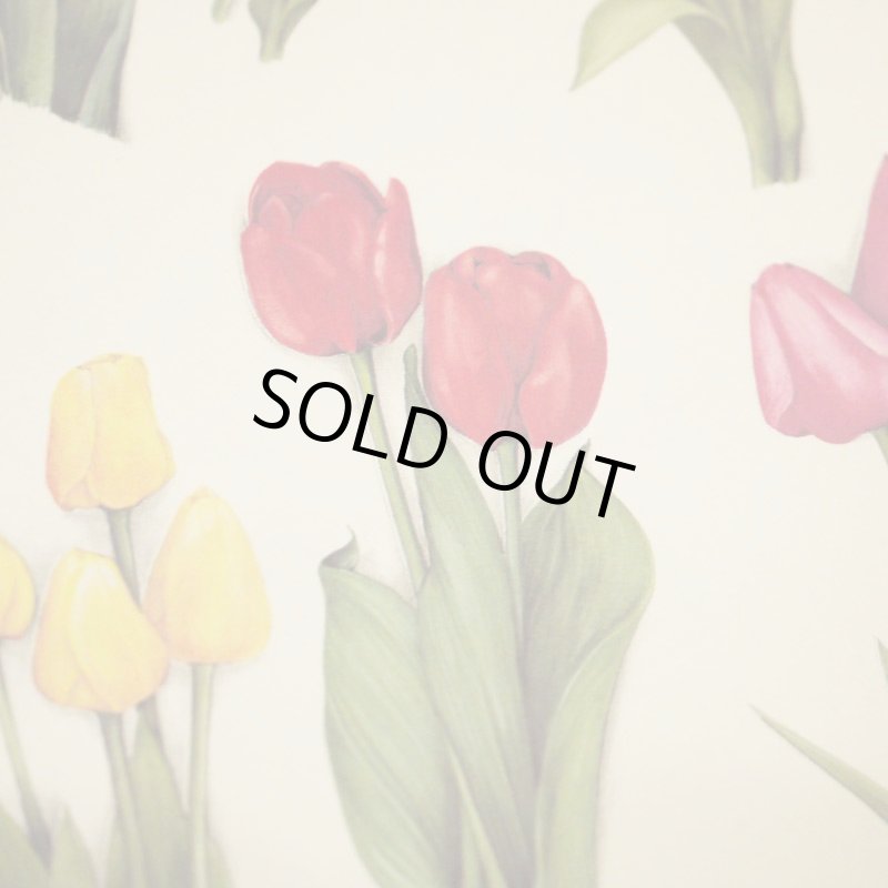 画像1: デコレーションペーパー チューリップ (1)