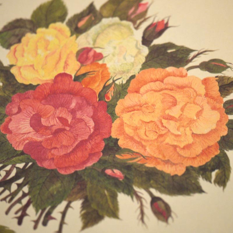 画像1: デコレーションペーパー 赤とオレンジの花 (1)