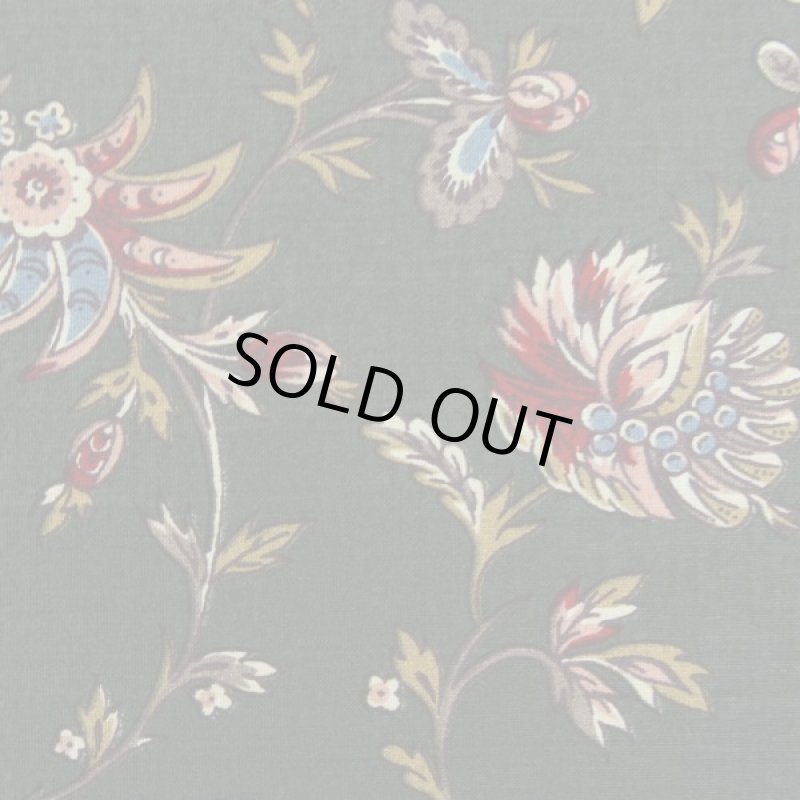 画像1: THE LETTERS ヨーロッパのリネン オランダ　Chintz fabric【Waterland】GREEN　140×50cm (1)