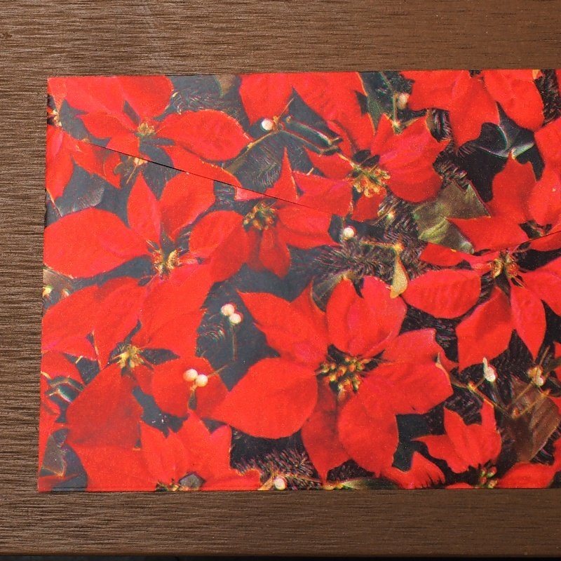 画像2: THE LETTERS ドイツの包装紙封筒 ポインセチア (2)