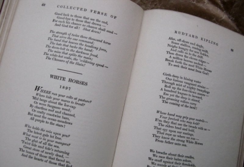 画像4: ★STEP2★洋古書　Collected verse ニューヨーク (4)