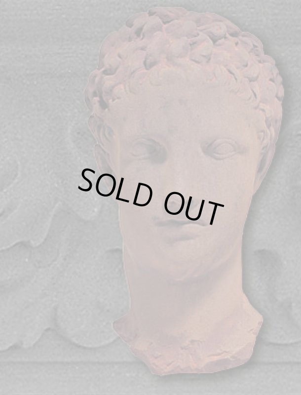 画像2: さび塗料 【手順2と3】 Iron×Rust ActivatorSET (2)